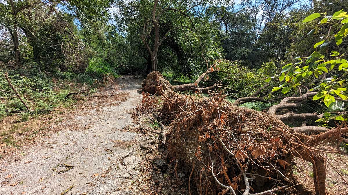 Parco Increa, 31 agosto 2023